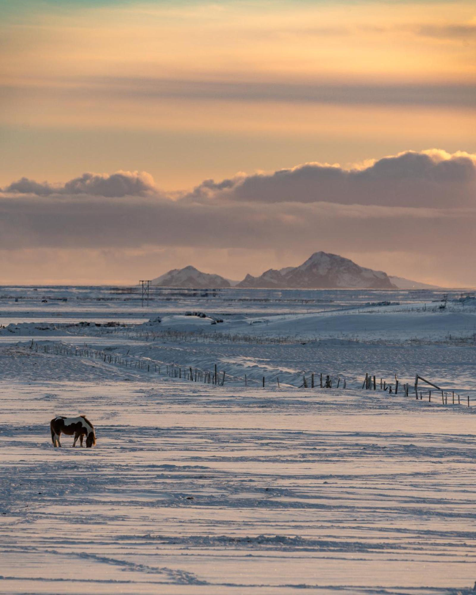 Midgard Base Camp Vandrarhem Hvolsvöllur Exteriör bild